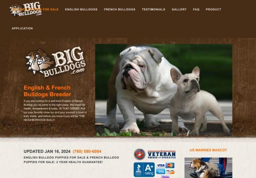 Bigbulldogs.com inc